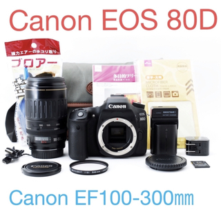 キヤノン(Canon)の☆Canon EOS 80Dデジタル一眼レフ☆Canon EF100-300㎜(デジタル一眼)