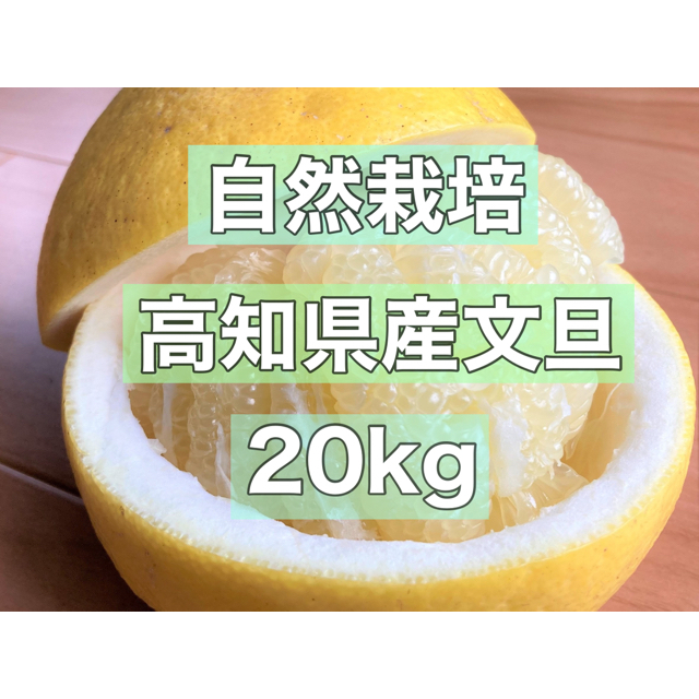 高知県産無農薬文旦20kg 2L〜3Lサイズ混合 食品/飲料/酒の食品(フルーツ)の商品写真