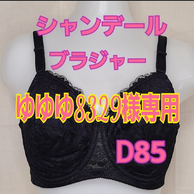 ☆シャンデール ブラジャー D85×2 通信販売 www.muasdaleholidays.com