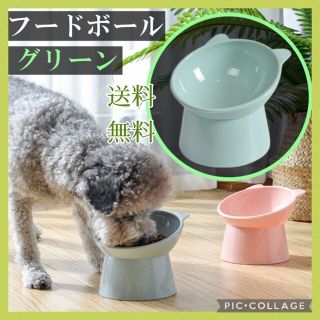 ☆グリーン　犬猫　フードボール　ペットボール　ご飯　ペット用品　給食器　餌(猫)