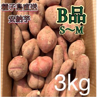 【絶品】種子島産安納芋 B品 小〜中サイズ(100g〜200g) 3kg(箱別)(野菜)