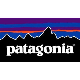 patagonia - 美品 patagonia パタゴニア オールインワン スノーウェア ...