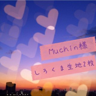 Muchin様専用♡生地2枚(その他)