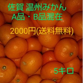 佐賀県産 温州みかん 5キロ(フルーツ)