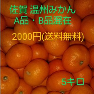 佐賀県産 温州みかん 5キロ(フルーツ)