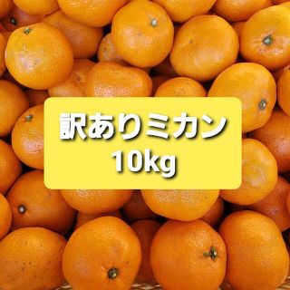 訳ありミカン１０kg(フルーツ)