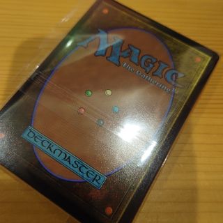 マジックザギャザリング(マジック：ザ・ギャザリング)のMTGカード裏面⑨(カード)