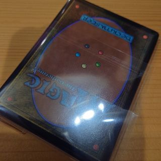 マジックザギャザリング(マジック：ザ・ギャザリング)のMTGカード裏面⑯(カード)