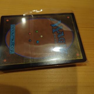 マジックザギャザリング(マジック：ザ・ギャザリング)のMTGカード裏面⑱(カード)