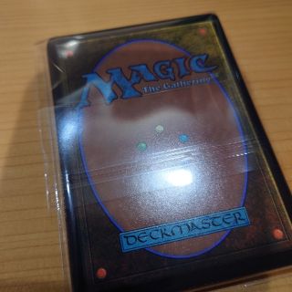 マジックザギャザリング(マジック：ザ・ギャザリング)のMTGカード裏面⑲(カード)
