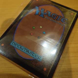 マジックザギャザリング(マジック：ザ・ギャザリング)のMTGカード裏面⑳(カード)