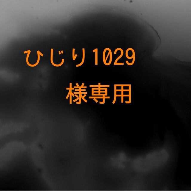 ポケモン - ひじり1029
