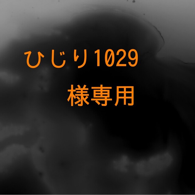 ひじり1029様専用 | monsterdog.com.br