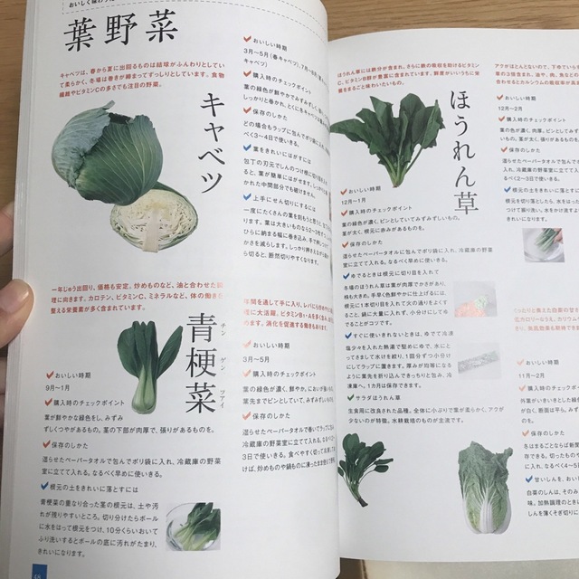 きょう、この野菜で。素材別 2人分のシンプルおかずノート2 エンタメ/ホビーの本(料理/グルメ)の商品写真