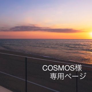 サンダイメジェイソウルブラザーズ(三代目 J Soul Brothers)のCOSMOS様　専用ページ(その他)