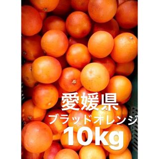 愛媛県産　ブラッドオレンジ　柑橘　10kg(フルーツ)
