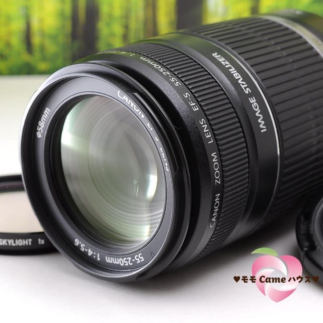 オックスフォードブルー ❤高性能❤Canon EF-S 55-250mm F4-5.6 IS