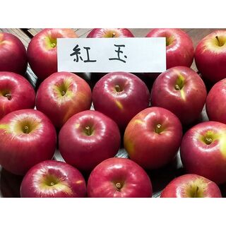 青森りんご 紅玉 青森県産 訳あり 酸味が美味しい人気のりんごです！お料理に(フルーツ)