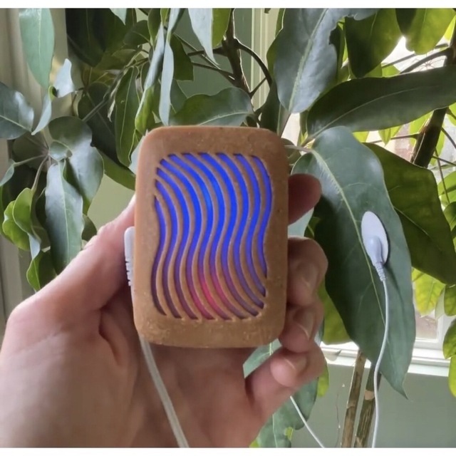 新品未使用　PLANT WAVE　植物が音楽を演奏するデバイス　プラントウェーブ
