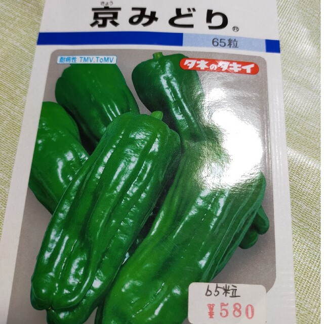 赤じゃがいも2キロ 京みどりの種 2