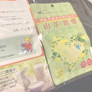 ★こー様専用★山芋習慣 ケフィア 葉酸 ジオスゲニン 妊活サプリ DHEA(その他)