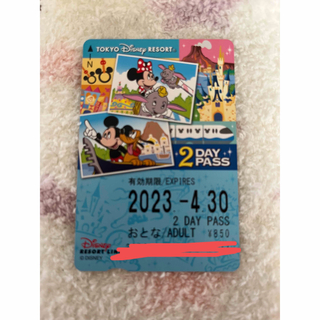ディズニー(Disney)のディズニーリゾートライン　2DAY フリー切符　未使用(遊園地/テーマパーク)
