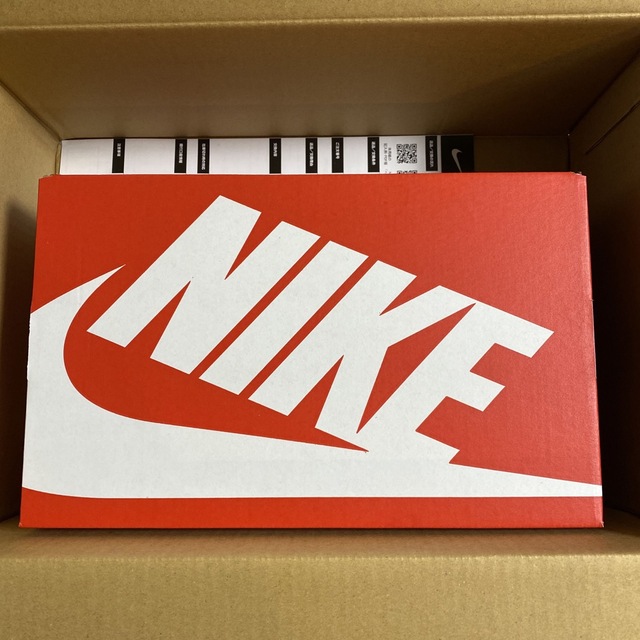 NIKE(ナイキ)のナイキ ウィメンズ ダンク ロー "ピンクペイズリー" 24cm レディースの靴/シューズ(スニーカー)の商品写真