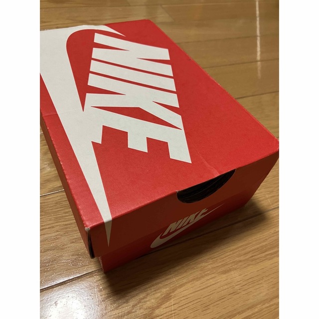 NIKE(ナイキ)の【めぐねーさん様専用】NIKE エアマックス タイニー 11cm キッズ/ベビー/マタニティのベビー靴/シューズ(~14cm)(スニーカー)の商品写真