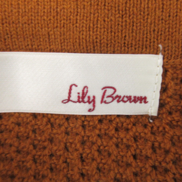 Lily Brown(リリーブラウン)のリリーブラウン ニット カットソー 長袖 ラウンドネック フリンジ 無地 レディースのトップス(ニット/セーター)の商品写真