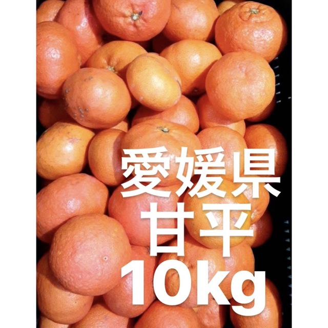 愛媛県産 甘平 柑橘 10kg - フルーツ