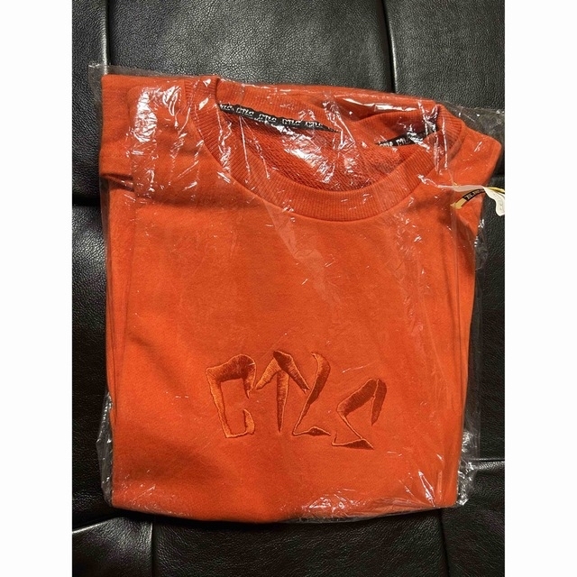 Rick Owens - cvtvlist カタリスト Tシャツ usual tee ss'22の通販 by