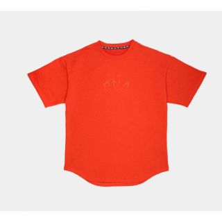 リックオウエンス(Rick Owens)のcvtvlist カタリスト Tシャツ  usual tee ss'22(Tシャツ/カットソー(半袖/袖なし))