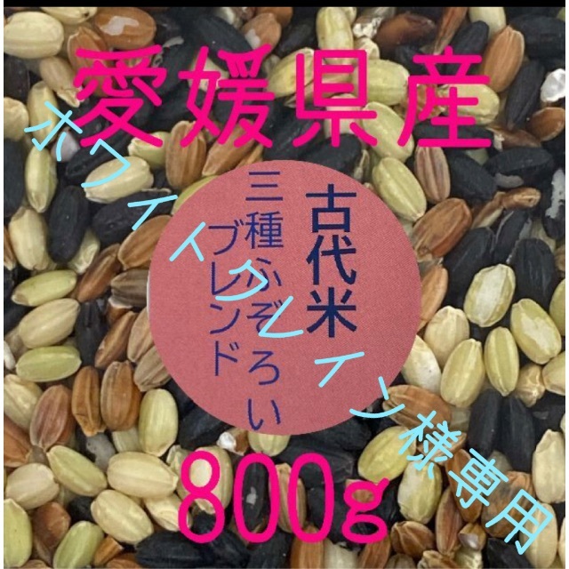 ホワイトクレイン様専用 古代米3種ふぞろいブレンド　愛媛県産　800ｇ 食品/飲料/酒の食品(米/穀物)の商品写真