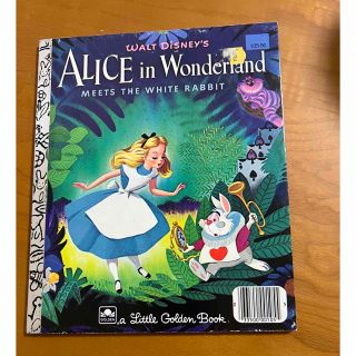 フシギノクニノアリス(ふしぎの国のアリス)のALICE in  Wonderland 英字絵本(絵本/児童書)