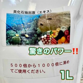 貝化石抽出液　液肥　原液　エキス　1Lサイズ　虫除け　市販にはない貴重な、お品(その他)