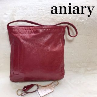 アニアリ(aniary)の【美品】aniary アニアリ ワンショルダー ショルダーバッグ オールレザー(ショルダーバッグ)