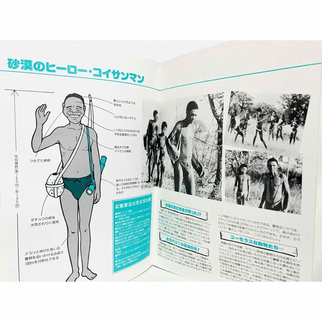 【貴重】映画『ブッシュマン&コイサンマン2』劇場版パンフレット2冊セット/ニカウ