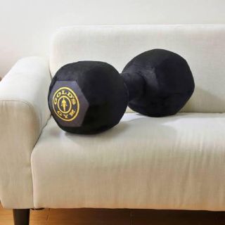 値下げGOLD'S GYM ゴールドジム ダンベル クッション(トレーニング用品)