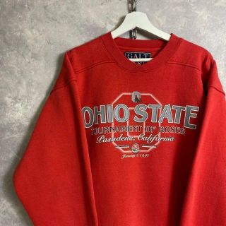 ビンテージカレッジスウェット 90s オハイオ OHIO 赤 刺繍 レッド(スウェット)