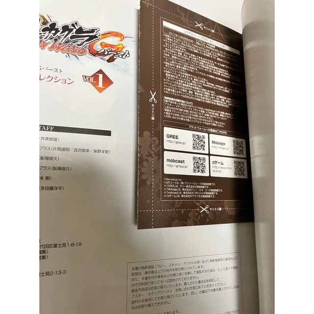 本閃乱カグラ NewWave 公式ビジュアルコレクション vol.1 vol.2