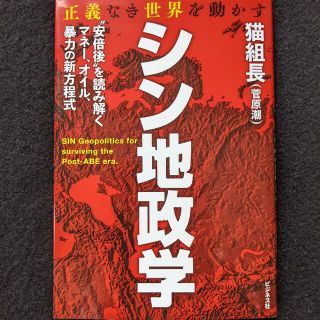 シン地政学　マネー　オイル　ビットコイン　円安　インフレを儲けに転じる思考法(ビジネス/経済)