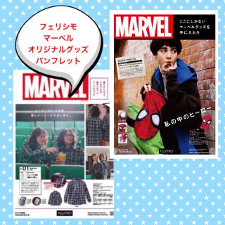 フェリシモ(FELISSIMO)のフェリシモ  MARVEL  オリジナルグッズ　　　　　　パンフレット2種類(キャラクターグッズ)