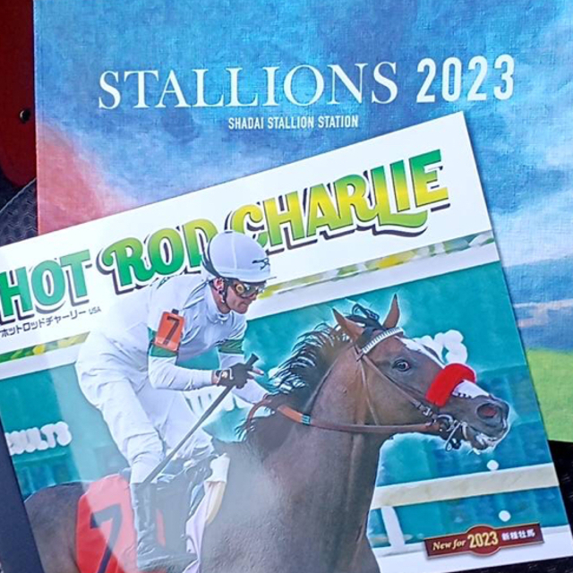 【競馬】社台スタリオン2023 エンタメ/ホビーの本(趣味/スポーツ/実用)の商品写真