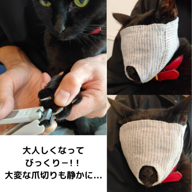 猫ちゃん マスク 爪切り 耳掃除 Sサイズ 補助 暴れ防止 ペット用 噛付き防止 その他のペット用品(猫)の商品写真