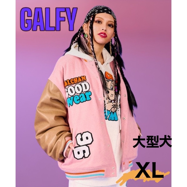 GALFY ガルフィー 2代目わんわん大学ジャケット 大型犬 100 %品質保証