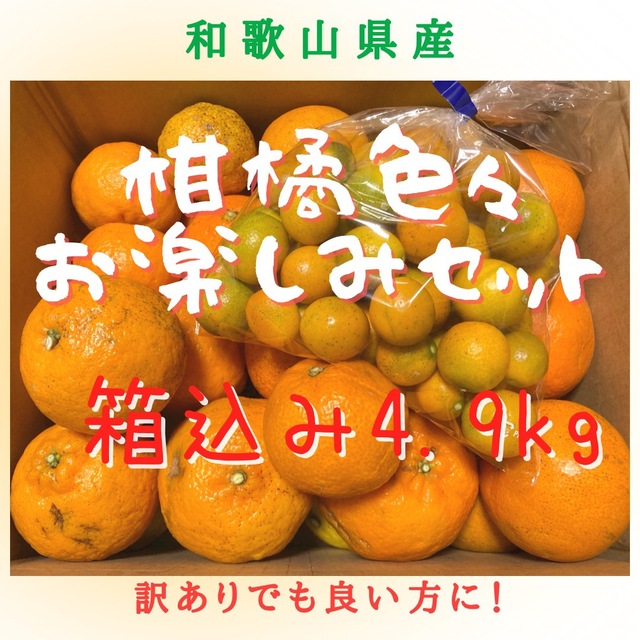【ご家庭用】柑橘色々お楽しみセット・箱込み4.9キロ・訳ありでも良い方に‼︎ 食品/飲料/酒の食品(フルーツ)の商品写真