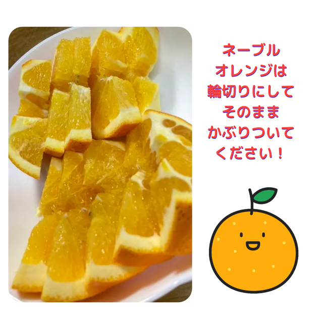 【ご家庭用】柑橘色々お楽しみセット・箱込み4.9キロ・訳ありでも良い方に‼︎ 食品/飲料/酒の食品(フルーツ)の商品写真