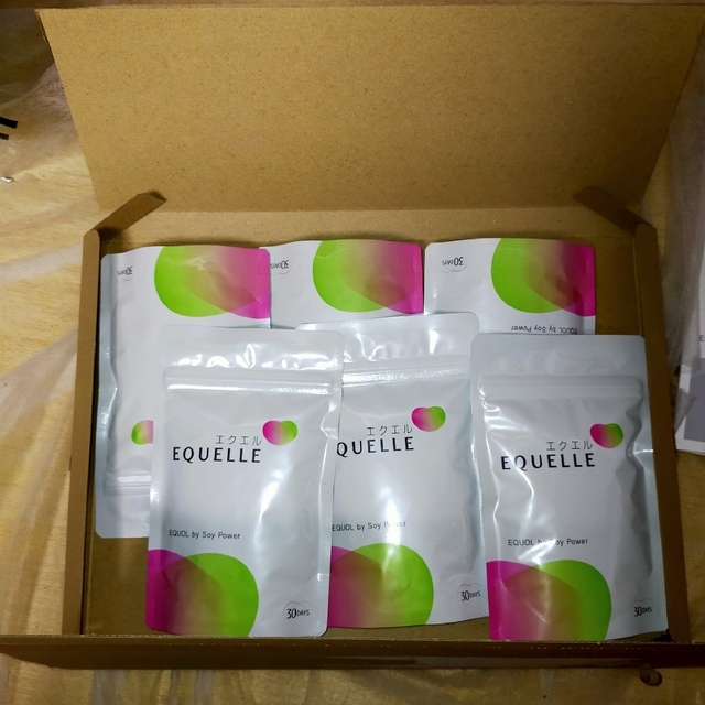 大塚製薬 - エクエル 大塚製薬 パウチ EQUELLE 30日分×6袋(120粒)の