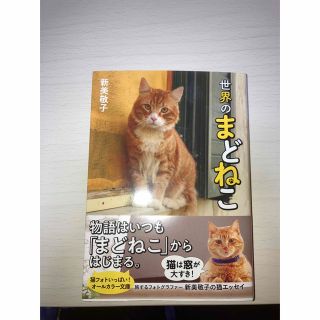 世界のまどねこ(文学/小説)