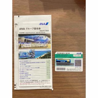 ANA グループ優待券　全日空(その他)